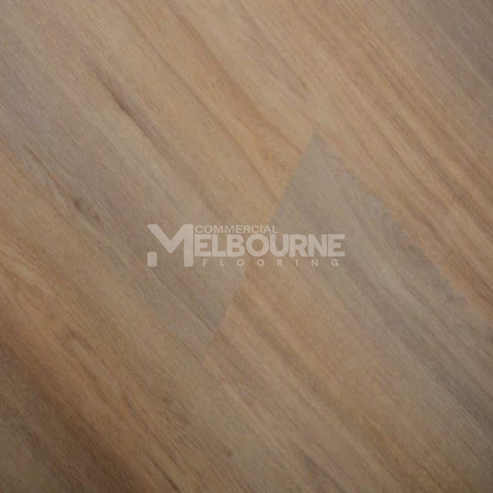 Spotted Gum SFC-131